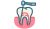 Root Canal